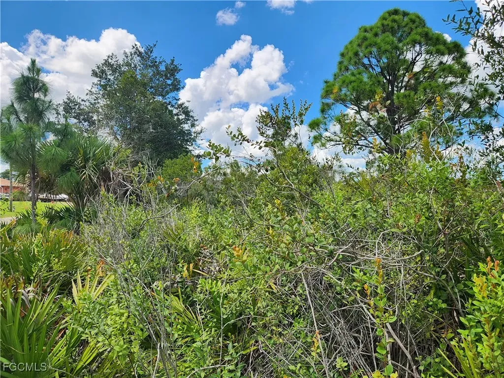 3012 42nd Street W Lehigh Acres FL 33971