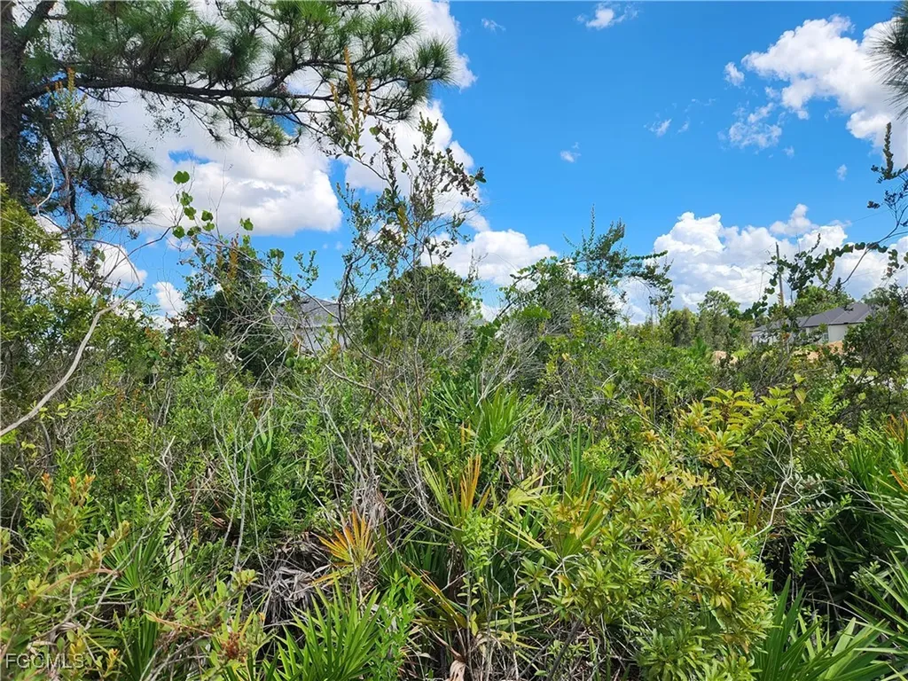 3012 42nd Street W Lehigh Acres FL 33971