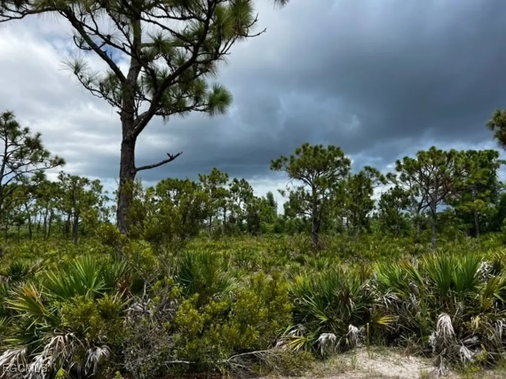 12528 Canoe Trail Bokeelia FL 33922