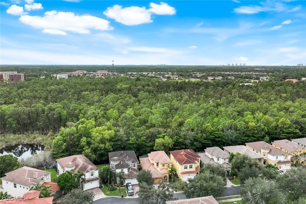 10253 S Silver Palm Drive Estero FL 33928