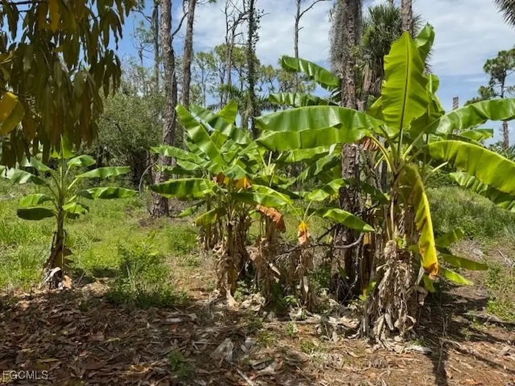 5431 Gamebird Lane Bokeelia FL 33922