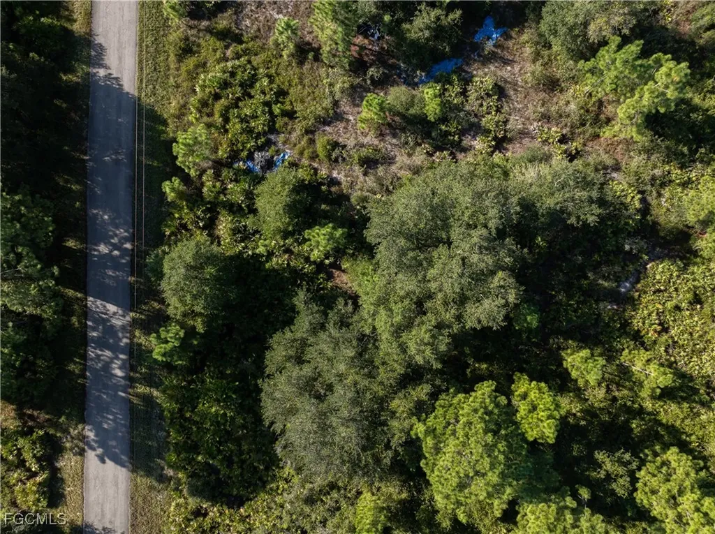 1503 Acacia Avenue Lehigh Acres FL 33972