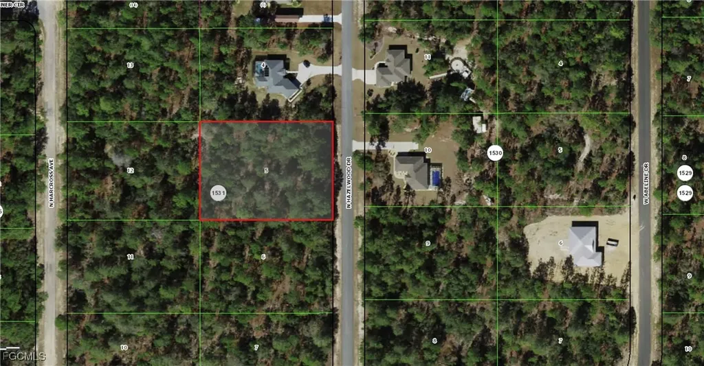 6636 N Hazelwood Drive Citrus Springs FL 34433