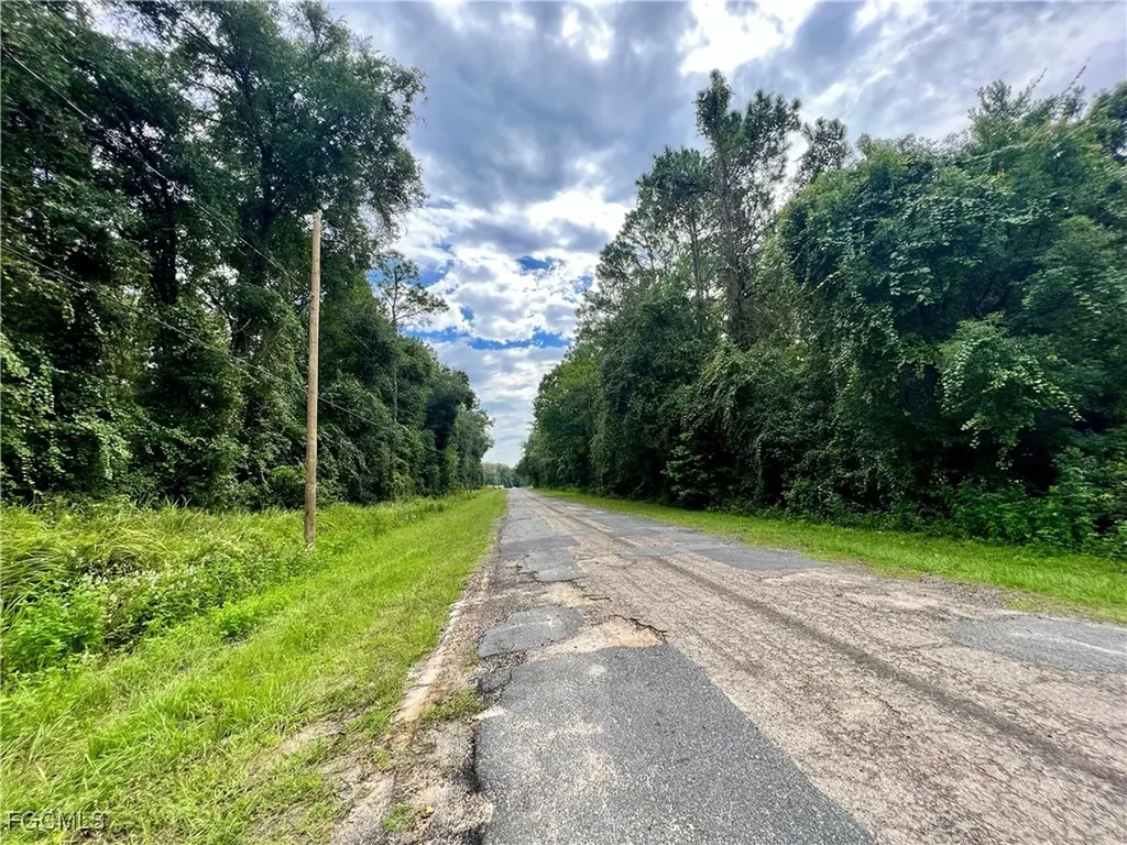 325 Eridani Court Citrus Springs FL 33434