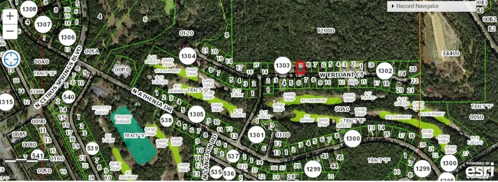 325 Eridani Court Citrus Springs FL 33434