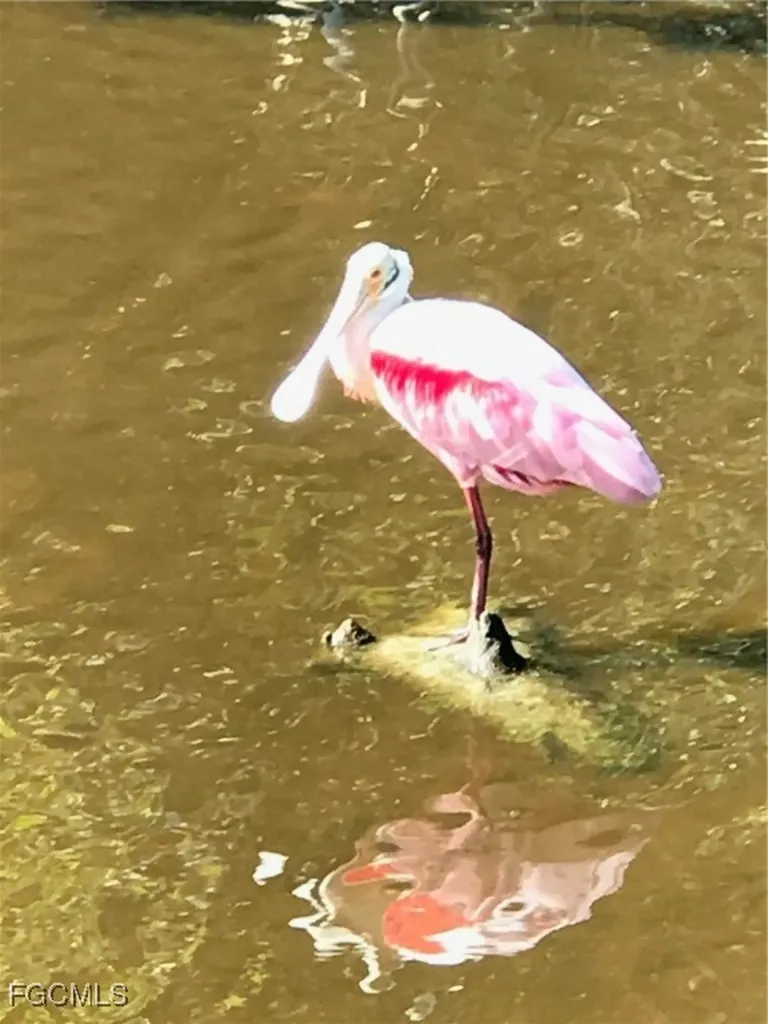 2549 W Gulf Drive Sanibel FL 33957