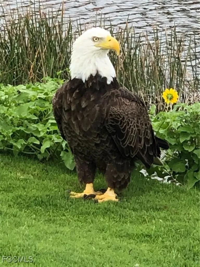 2549 W Gulf Drive Sanibel FL 33957