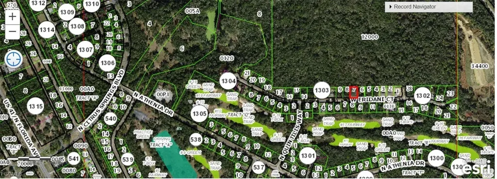 271 W Eridani Court Citrus Springs FL 34434