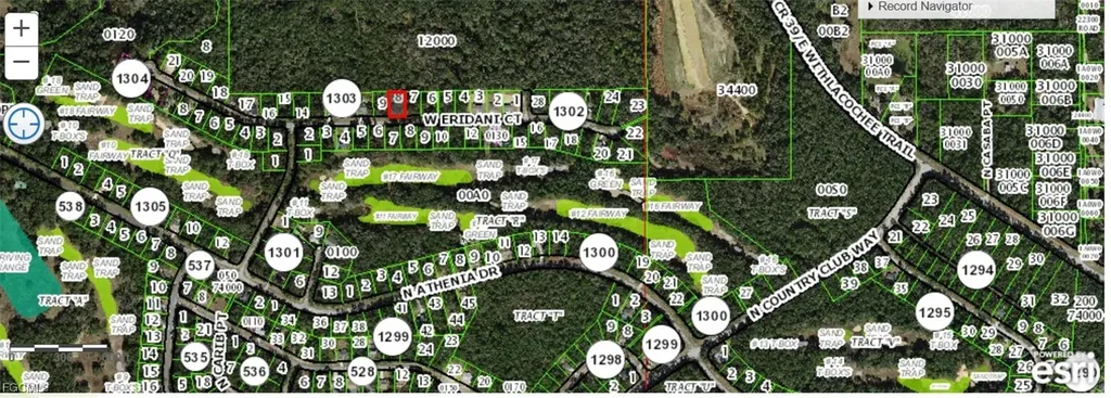 303 W Eridani Court Citrus Springs FL 34494