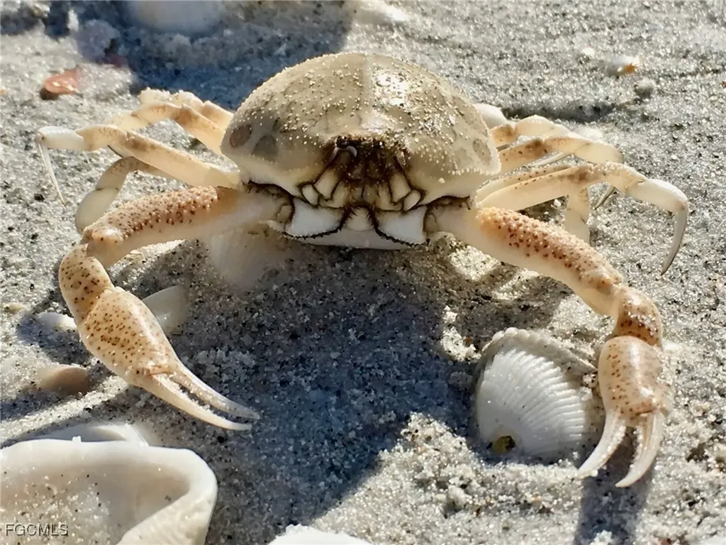 1390 Middle Gulf Drive Sanibel FL 33957