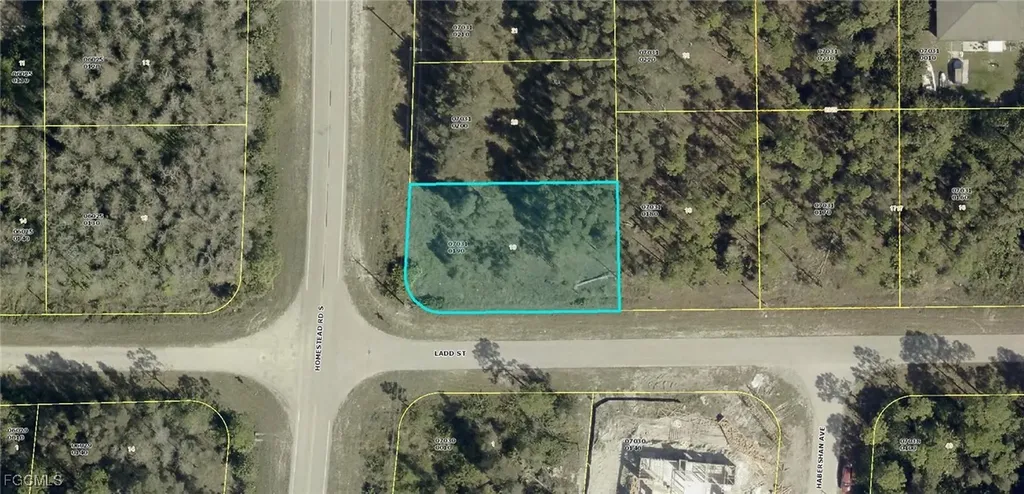 1009/1011 Homestead Road S Lehigh Acres FL 33974
