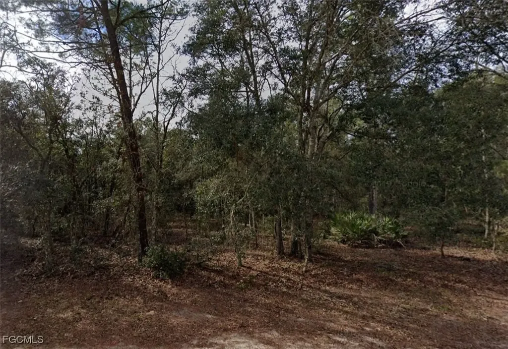 917 David Avenue Interlachen FL 32148