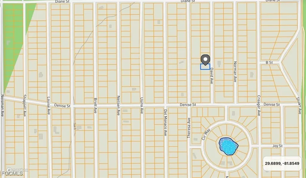 917 David Avenue Interlachen FL 32148