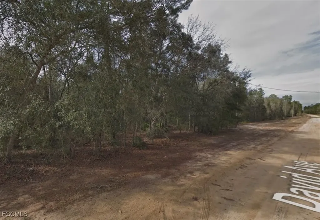 917 David Avenue Interlachen FL 32148