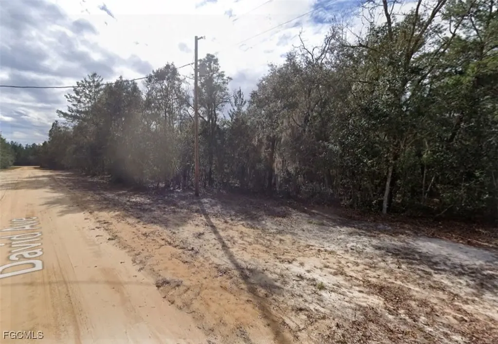 917 David Avenue Interlachen FL 32148