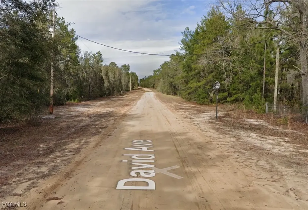 917 David Avenue Interlachen FL 32148