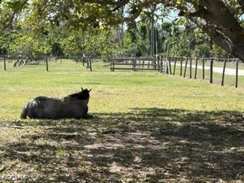 13300 Morningstar Lane Bokeelia FL 33922