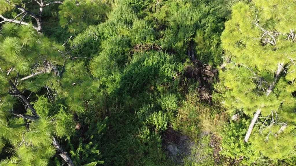 2525 Catron Circle Lehigh Acres FL 33971