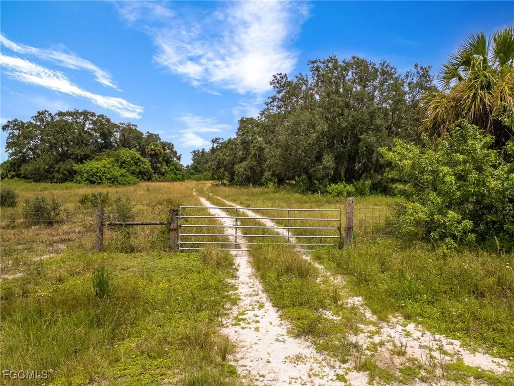 1667 Palomino Drive Moore Haven FL 33471