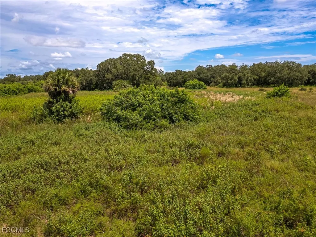 1667 Palomino Drive Moore Haven FL 33471