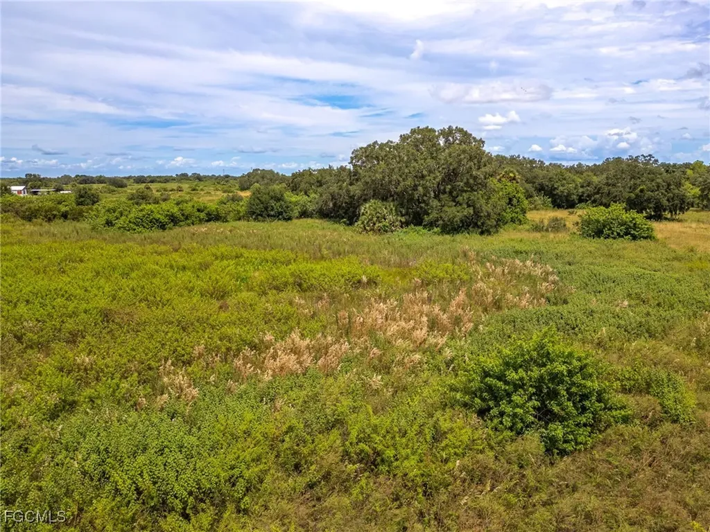 1667 Palomino Drive Moore Haven FL 33471