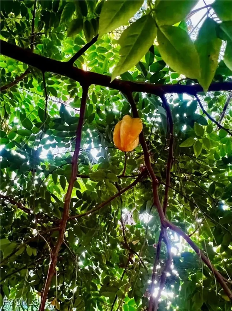 7623/7621 Breeze Drive North Fort Myers FL 33917