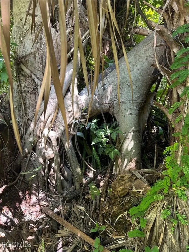 263 Kingston Drive Fort Myers FL 33905