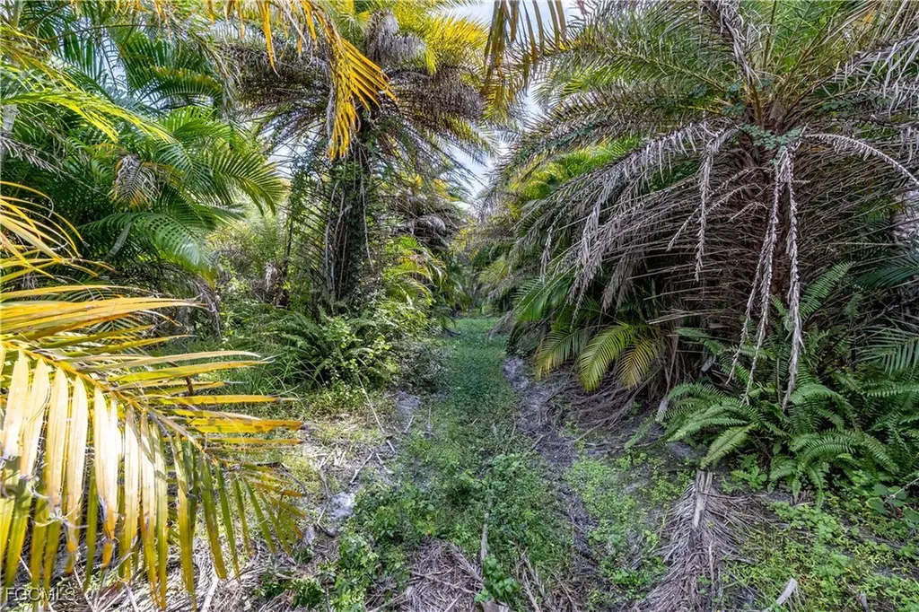 12549 Tiffany Road Bokeelia FL 33922