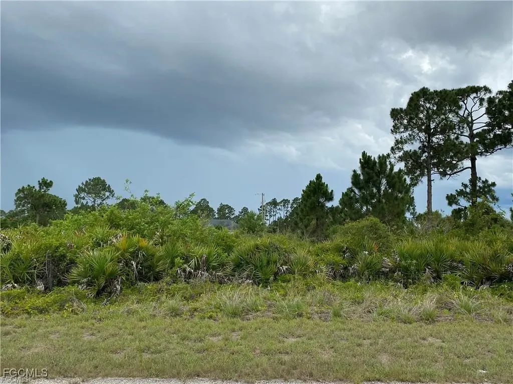1238 Garibaldi Street E Lehigh Acres FL 33974