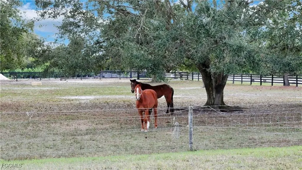 11751 Shawnee Road Fort Myers FL 33913