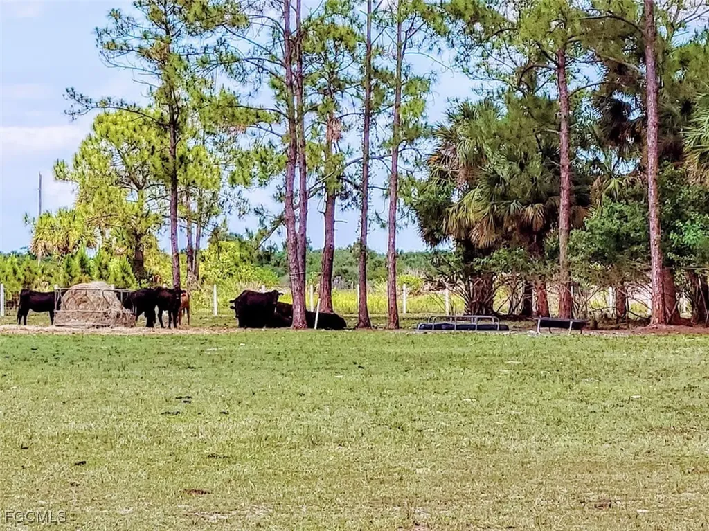 1001 Homestead Avenue Clewiston FL 33440