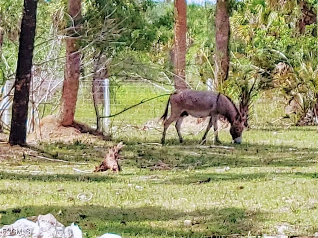 1001 Homestead Avenue Clewiston FL 33440