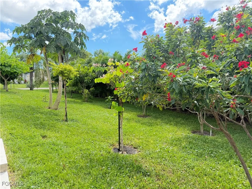 831 SW 17th Terrace Cape Coral FL 33991