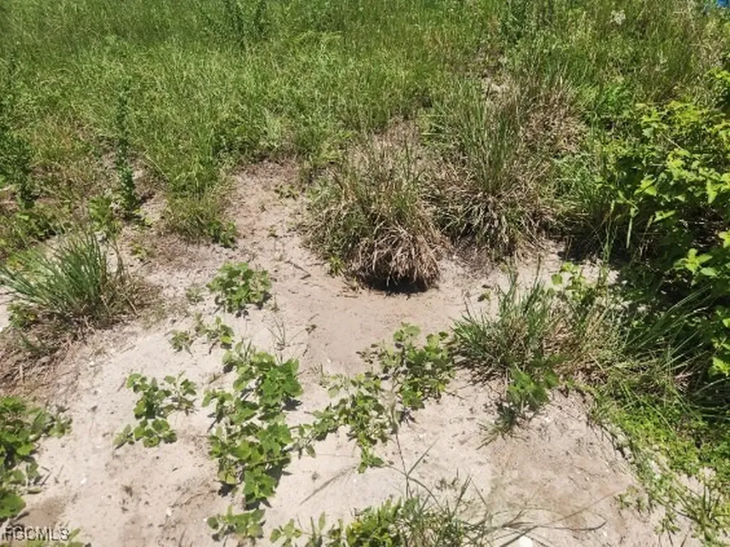 Saturn Court Labelle FL 33935