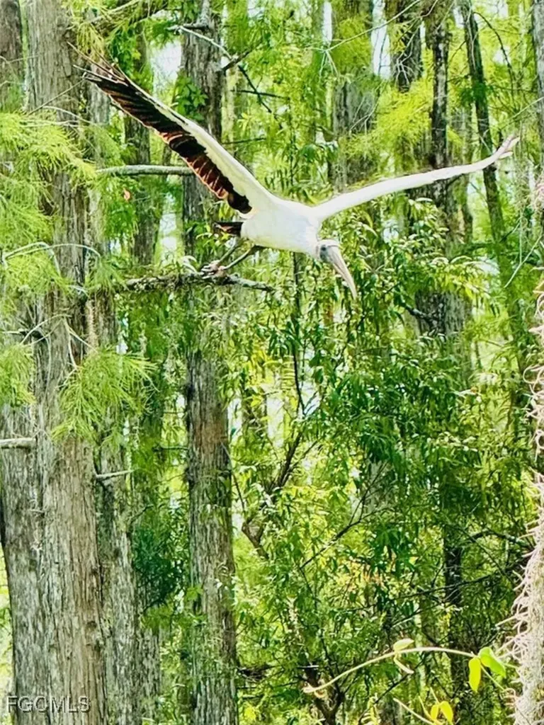 9917 Vicenza Drive Fort Myers FL 33913