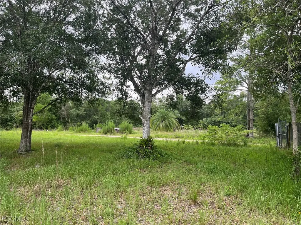 6851 Carmelita Drive Fort Myers FL 33905