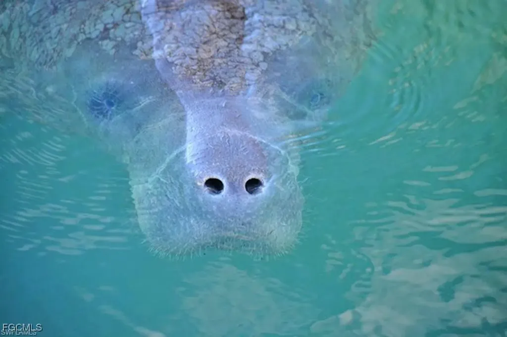 12261 Hammock Creek Way Fort Myers FL 33905