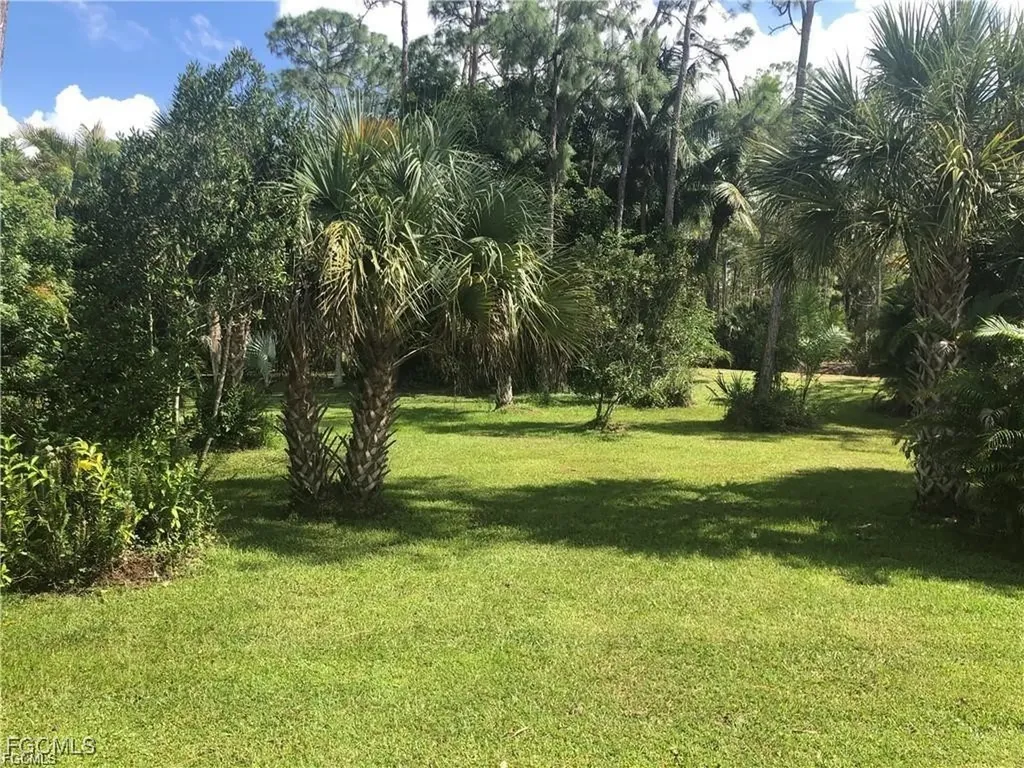 10917 Brown Pelican Circle Estero FL 33928