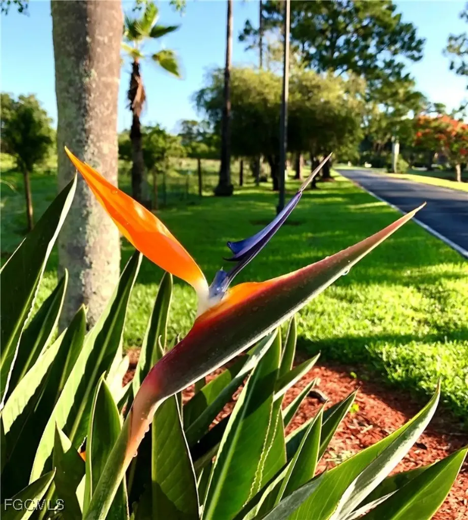 16000 Bay Pointe Boulevard North Fort Myers FL 33917