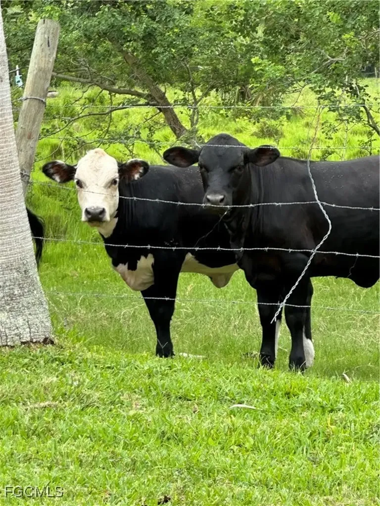 16000 Bay Pointe Boulevard North Fort Myers FL 33917