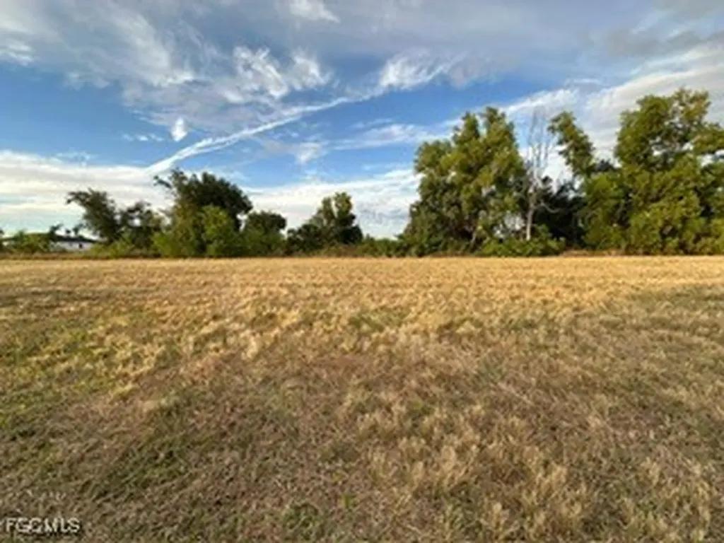 2137 NE 25th Terrace Cape Coral FL 33909