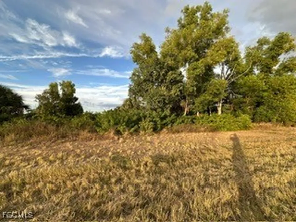 2137 NE 25th Terrace Cape Coral FL 33909