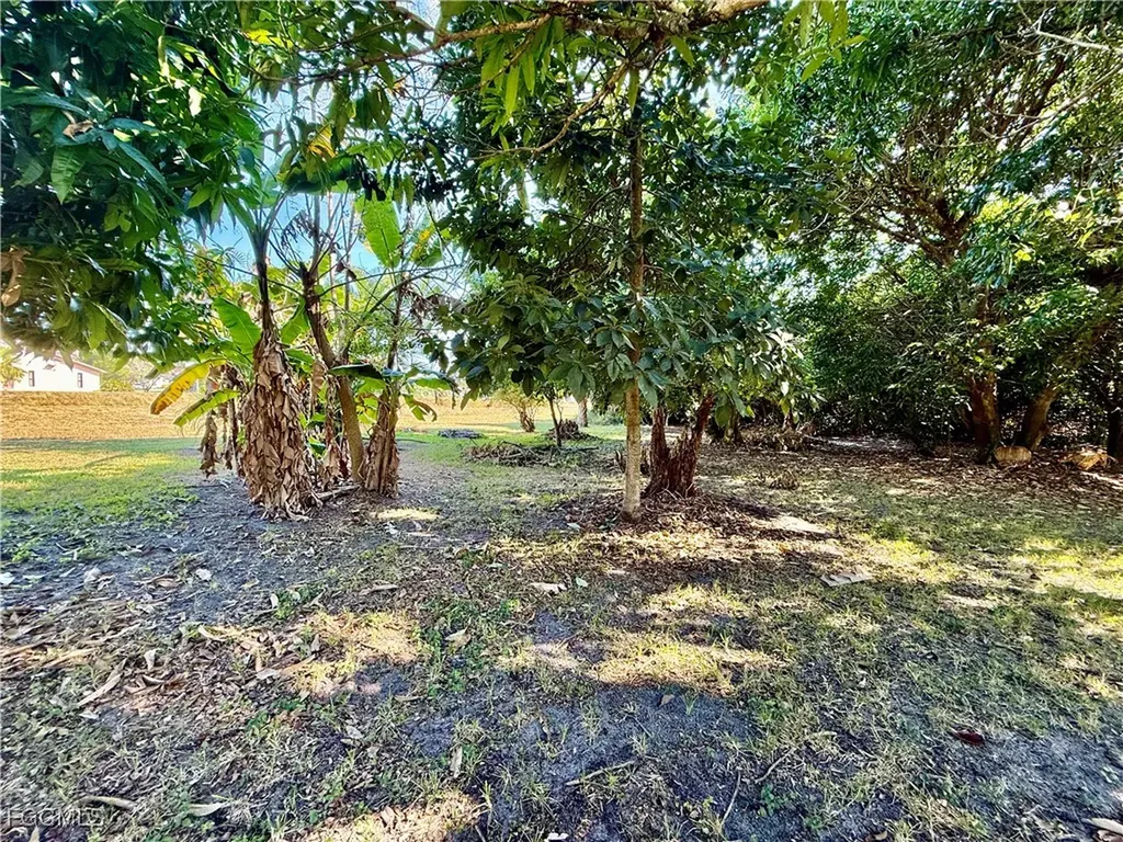 1427 Scenic Street Lehigh Acres FL 33936