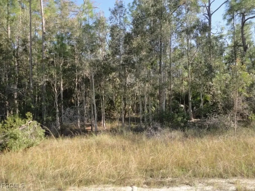 Lehigh Acres FL 33972