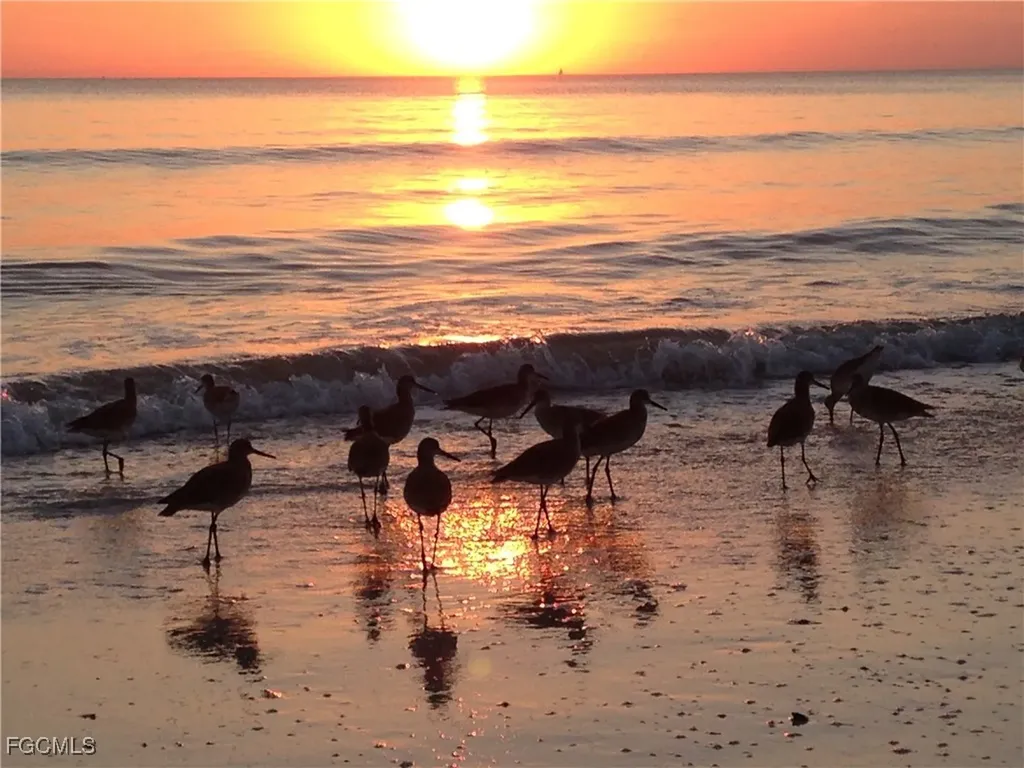 28840 Regis Court Bonita Springs FL 34134