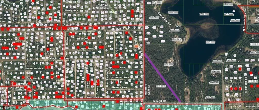 09-10-24-4068-0440-0060 Burton Street Interlachen FL 32148