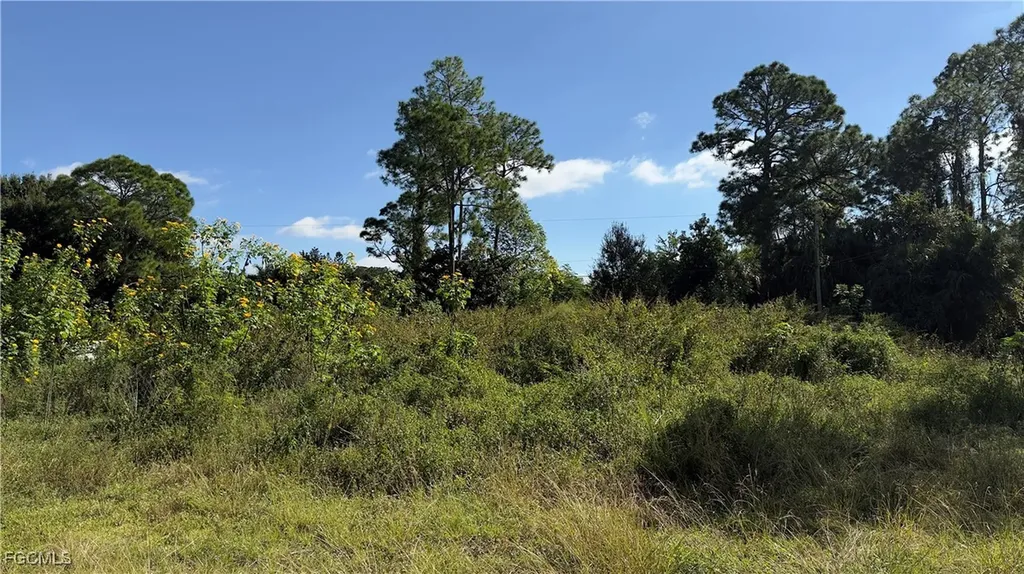 420 Hamilton Avenue Lehigh Acres FL 33972