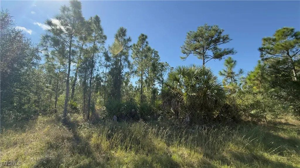 2402 E 10th Street Lehigh Acres FL 33936