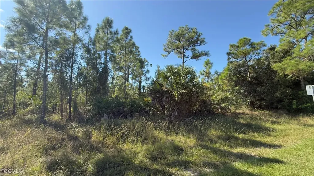 2402 E 10th Street Lehigh Acres FL 33936