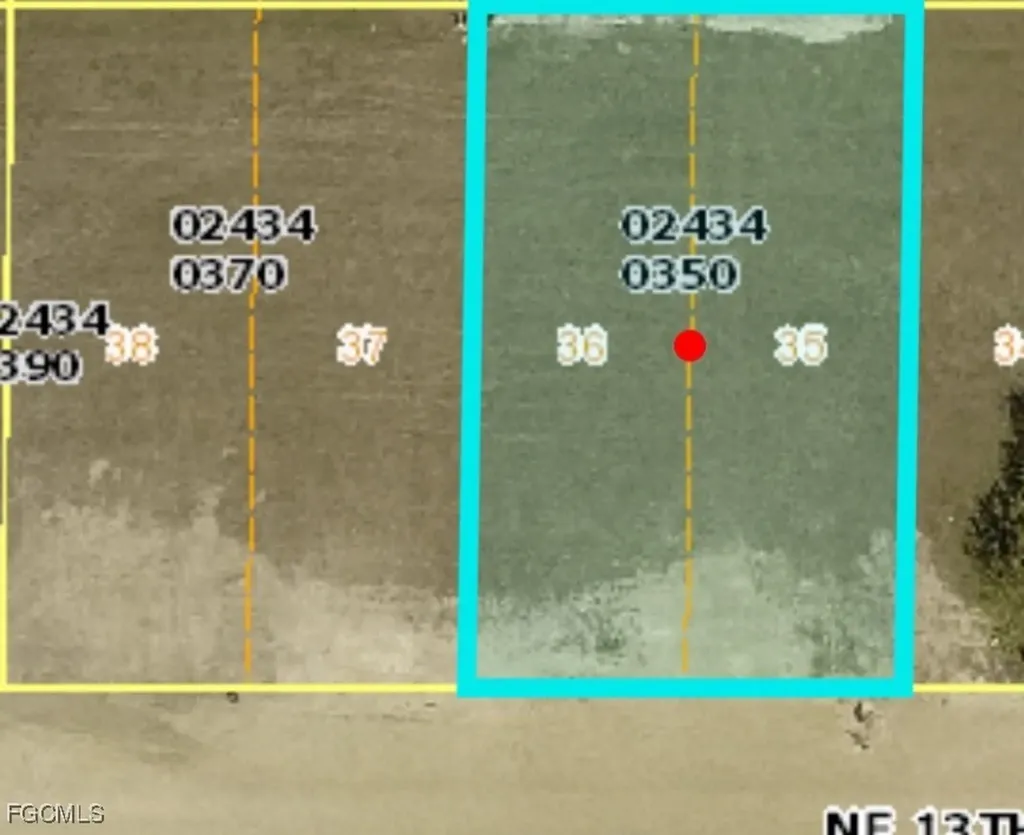 317 NE 13th Terrace Cape Coral FL 33909